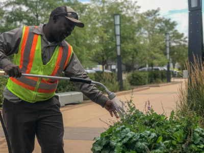 Landscaping & Grounds